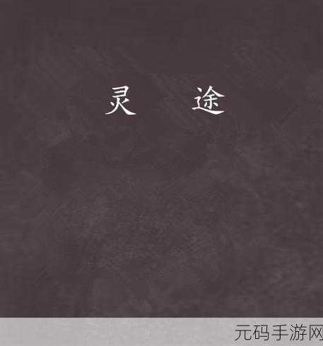灵途简体中文免安装版震撼发布,角色扮演新纪元开启
