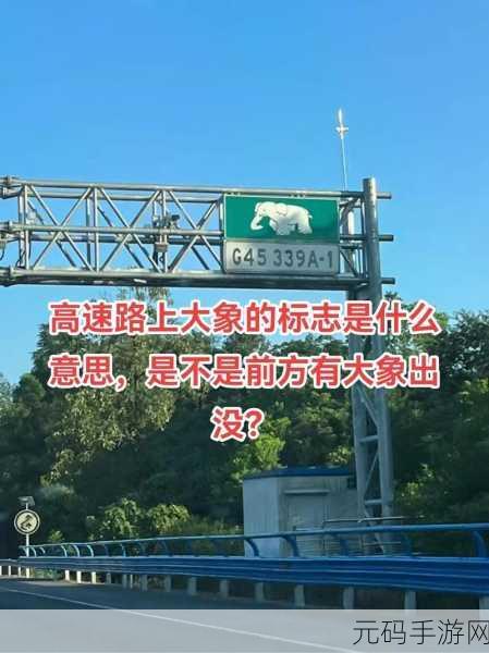 满18点此安全转入2023大象:当然可以!以下是一些关于2023年大象拓展的标题建议: