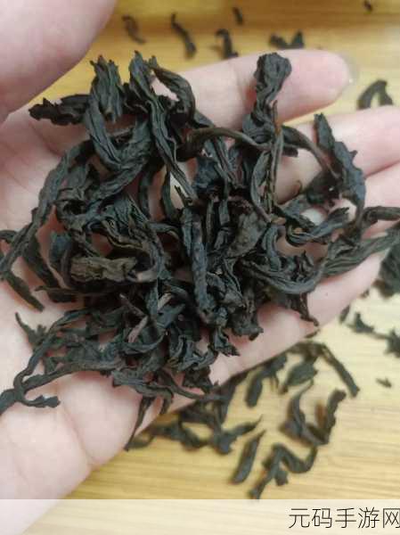 水帘洞肉桂水蜜桃k8视频:1. 水帘洞探秘:品味肉桂水蜜桃的绝妙滋味