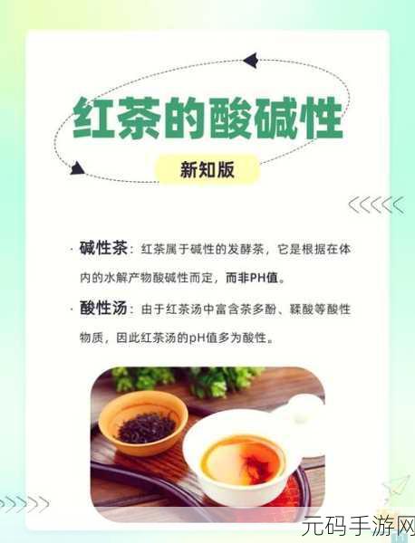 探秘红茶女生的经典话语世界