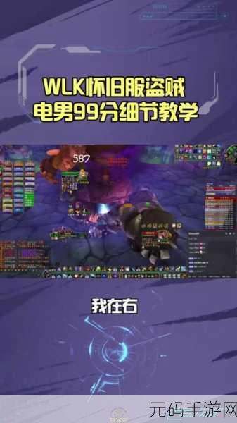 WLK盗贼练级新手指南：1. WLK盗贼练级全攻略：从新手到高手的成长之路