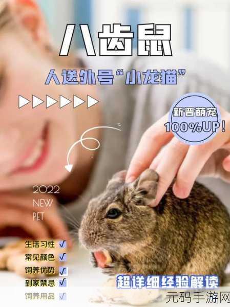 萌鼠世界极速敛财秘籍,让财富滚滚而来
