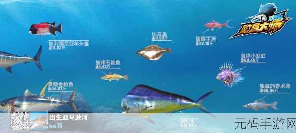 欢乐钓鱼大师,征服银翼奇术师的钓鱼秘籍
