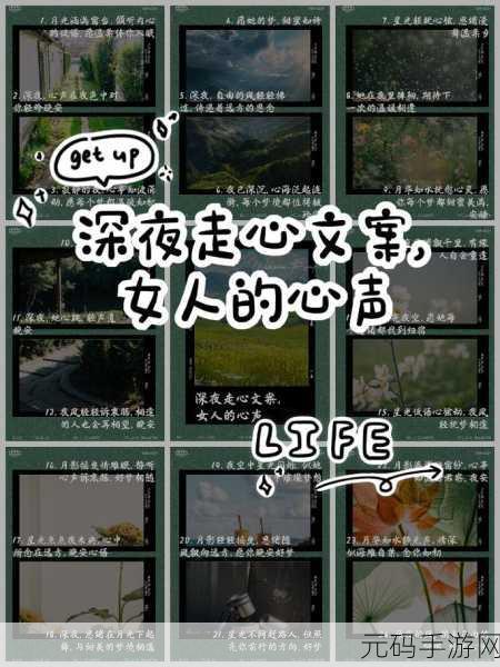 女人口述与宠物高潮：1. 《女人心声：宠物与情感的交织