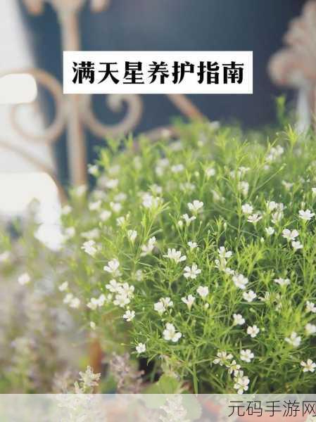 法国满天星酒店服务生人物：1. 法国满天星酒店服务生的温馨故事