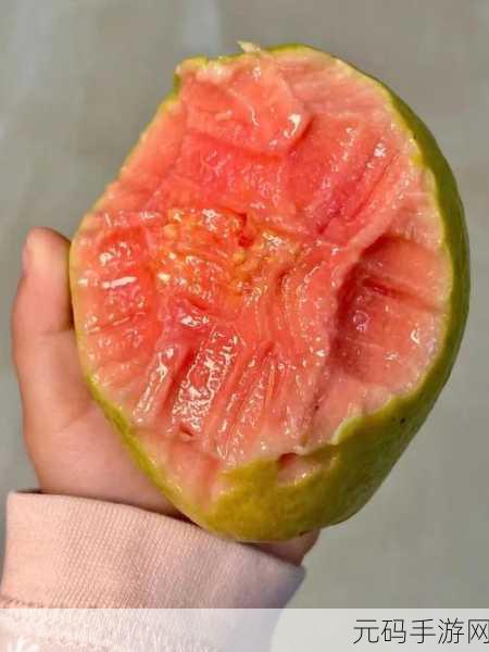 草莓视频芭乐十八:当然可以!以下是一些根据草莓视频和芭乐十八拓展出的新