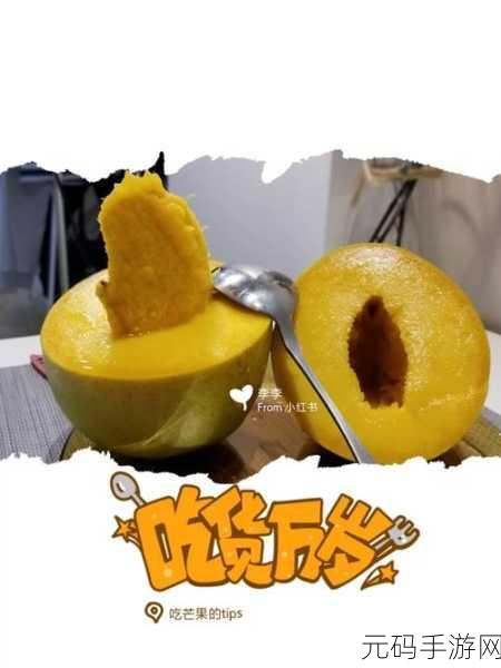 芒果一区隐藏人口:1. 揭秘芒果一区:隐藏人口的真实面貌