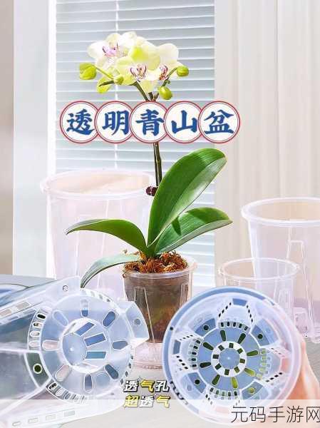 花盆爆破家园新版本震撼发布，趣味合并消除再升级