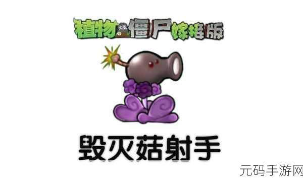植物大战僵尸嫁接版神秘植物全揭秘