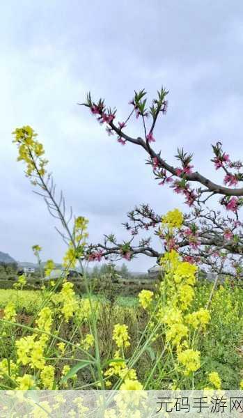 桃花深处水潺潺:1. 桃花深处,流水潺潺惹人醉