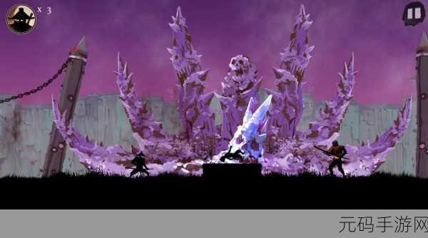 Ninja Arashi无限生命1.4版本盛大更新,角色扮演新体验等你来探索