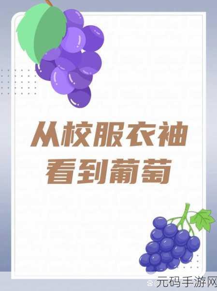 从校服衣袖看到葡萄:从校服衣袖的细节看青春记忆中的葡萄象征
