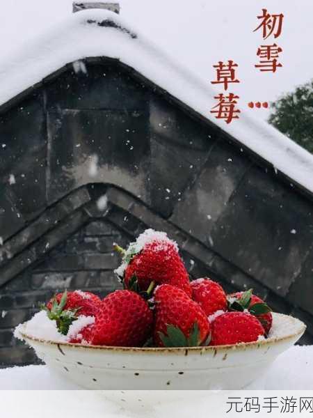 草莓苹果ios:1. 草莓苹果:甜蜜与清新的完美融合