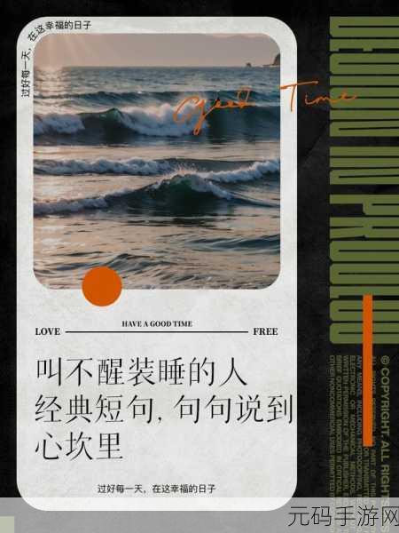 岳故意装睡让我进去:1. 岳故意装睡引发的误会与真相