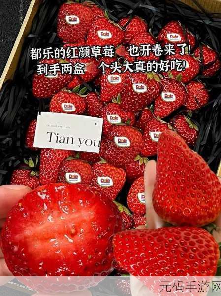 草莓视频哟哟:当然可以!以下是一些基于“草莓视频哟哟”的新标题建议: