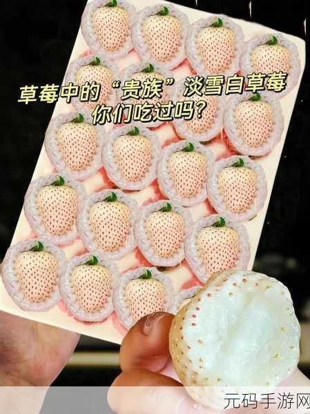 草莓视频哟哟:当然可以!以下是一些基于“草莓视频哟哟”的新标题建议: