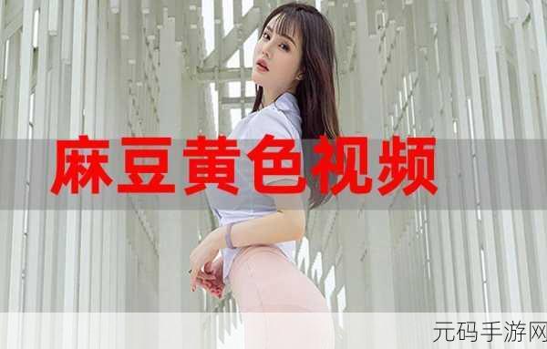 麻豆视频下载污:1. 如何安全下载麻豆视频?详细步骤解析