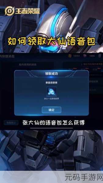 王者荣耀,张大仙露娜语音包获取秘籍大揭秘