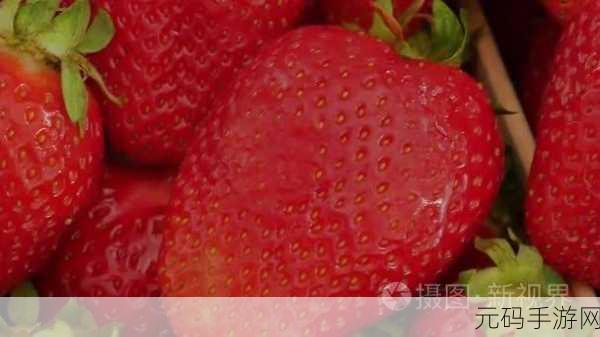 草莓视频官方色:1. 草莓视频:甜蜜视界,尽享精彩瞬间