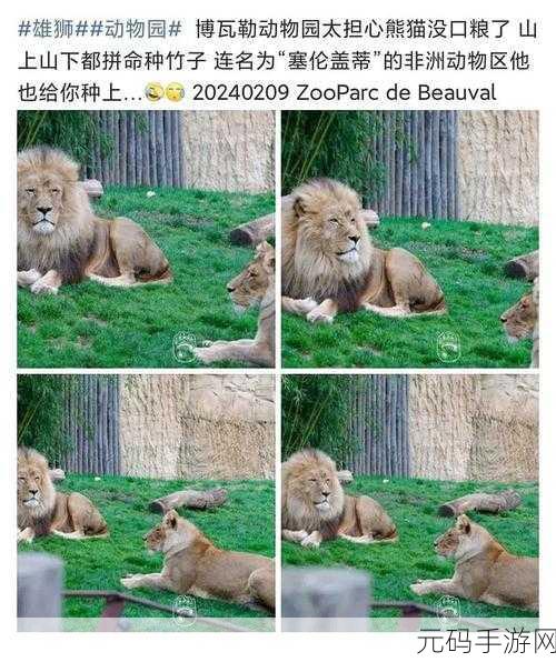 欧美人狗Zoo:1. 探索人狗关系的多样性与深度