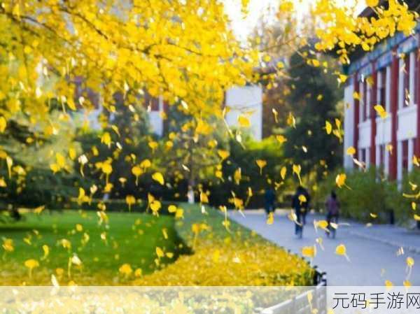 719y你会回来感谢我的:1. 719y:未来回归的承诺与感恩之旅