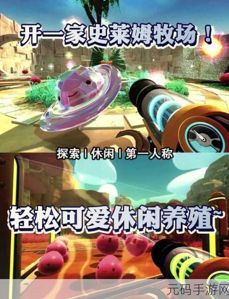 ZoomkooL牧场猪:1. "探索ZoomkooL牧场猪的养殖新模式