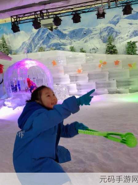 口袋妖怪冰雪城新版本震撼发布,重温经典,探索冰雪奇缘