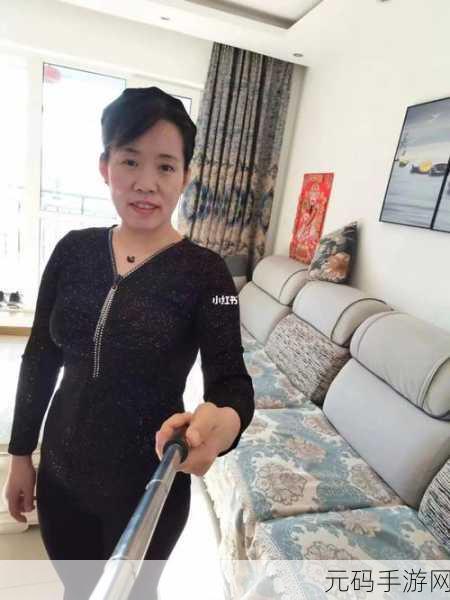 沈阳老阿姨叫的巅峰：1. 沈阳老阿姨的巅峰拓展奇遇记