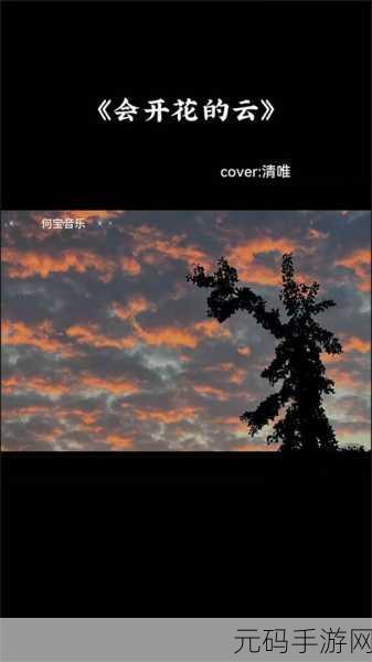 节奏夜放克手机版震撼上线,音乐与节奏的完美碰撞