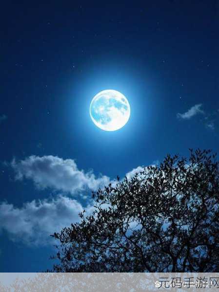 50个夜晚,禁止:夜晚的秘密:在月光下的50个故事