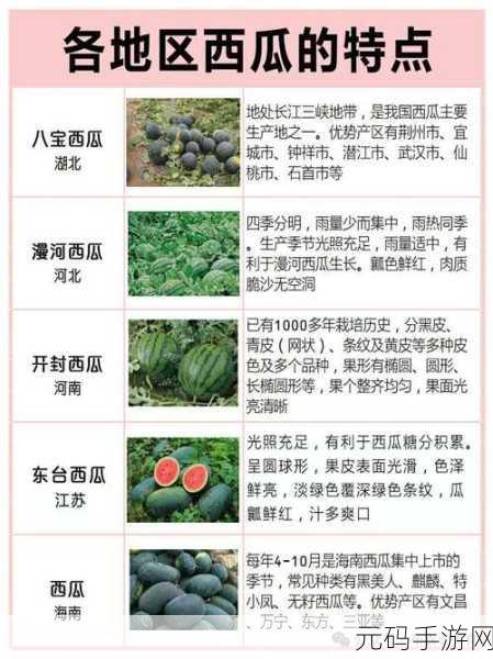 51n吃瓜:1. 51n吃瓜盛宴:畅享美食与八卦的双重体验