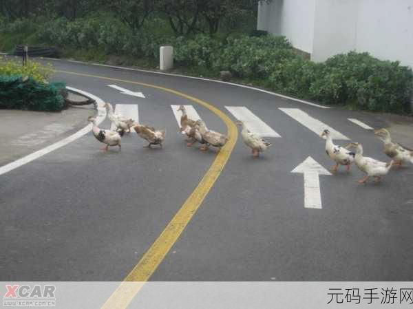 鹅鸭杀中立角色的致胜秘籍，掌握关键策略一举登顶