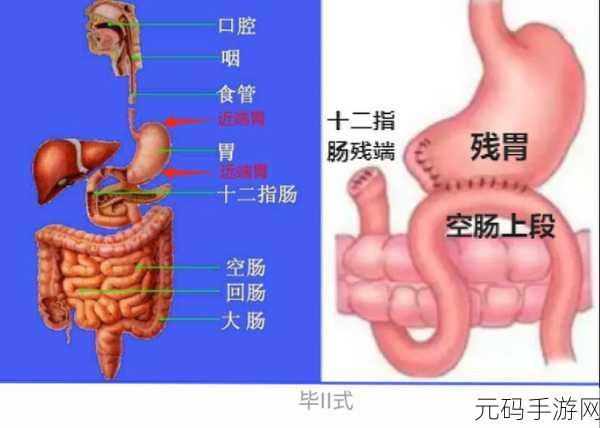 支持人扬帆真的是胃癌吗：1. 揭开支持人扬帆的胃癌真相：背后的故事
