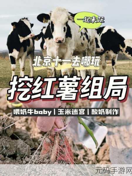 ZoomkooL牧场26最新版本:当然可以!以下是关于ZoomkooL牧场26最新版本的10个字以上标题建议: