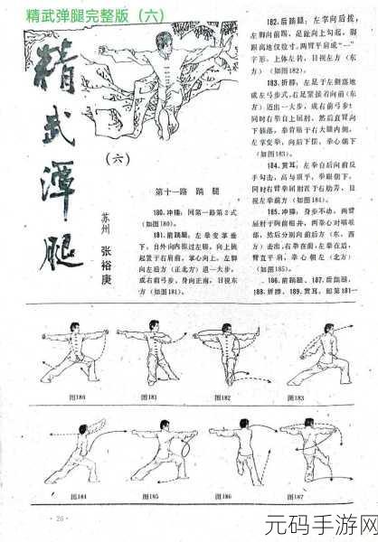 胡桃娴熟の腿法:1. 胡桃娴熟腿法的奥秘与技巧解析