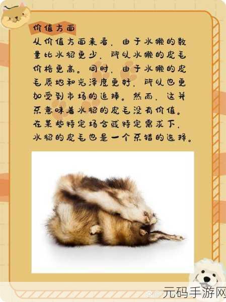 AAAA级毛皮和普通版对比:AAAA级毛皮与普通版的全面对比:品质、性能与性价比分析