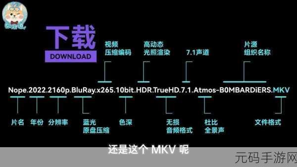 哔哩哔哩封禁视频网站:1. "哔哩哔哩封禁视频网站背后的原因解析