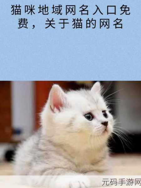 汤姆叔叔tom地域网名:1. 汤姆叔叔:探索地域文化的窗口