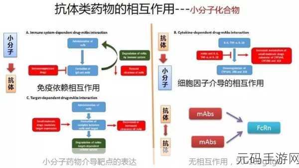 药效1v2h:1. 药效研究新进展:探索1v2h药物组合的潜力