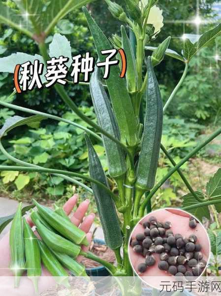 榴莲秋葵让你流连忘返:1. 榴莲与秋葵的奇妙碰撞,让味蕾尽情舞动
