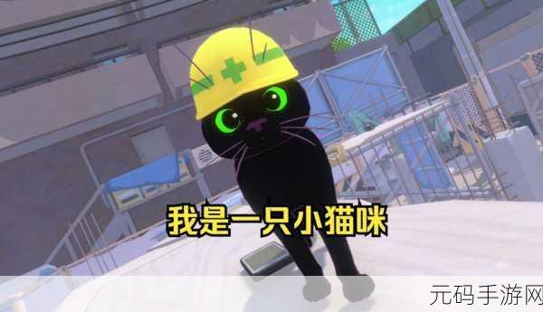 小猫咪大城市免费版,趣味横生的游戏世界等你来探索