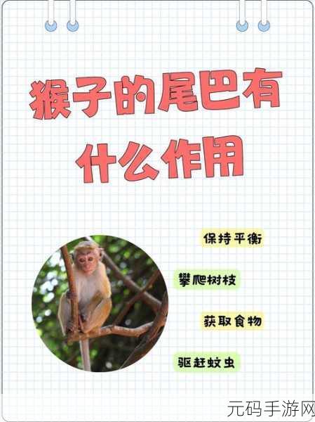 生猴子:1. 探索生猴子的神秘世界与生态之美