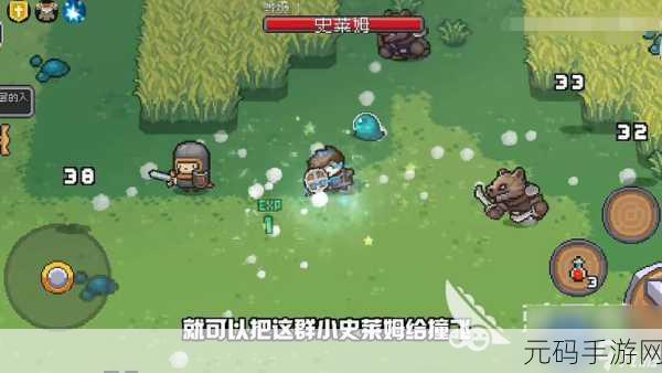 元气骑士前传,探寻自然药师项链的神秘掉落之处