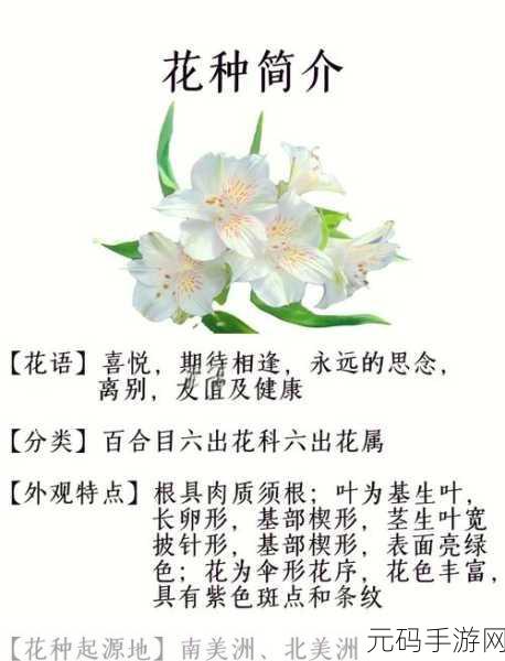 探秘文字玩出花,怀旧办嫁妆通关秘籍大公开