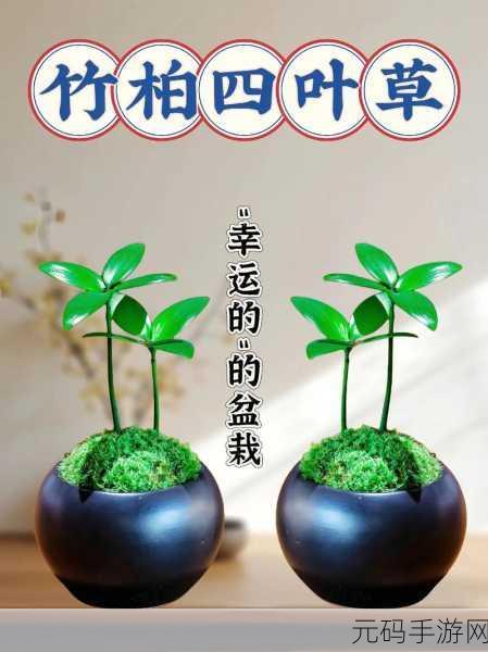 四叶草研究所免费隐藏入口2024:1. 四叶草研究所2024:探索隐藏入口的新冒险