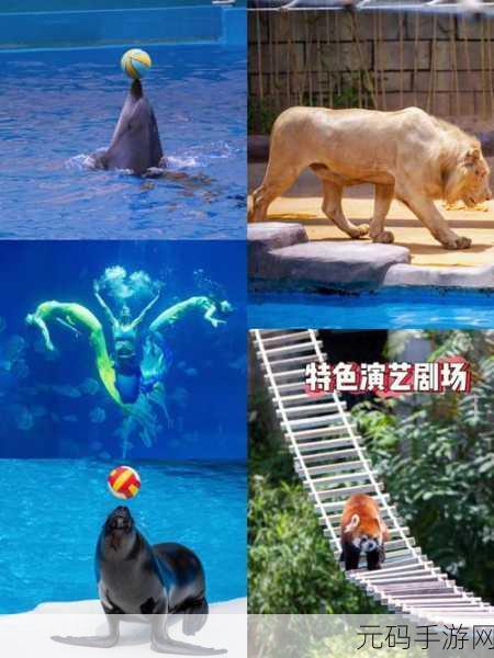 精品推荐_2021精品一卡二卡三卡四卡:1. 精品推荐:畅游一卡二卡三卡四卡的无限可能