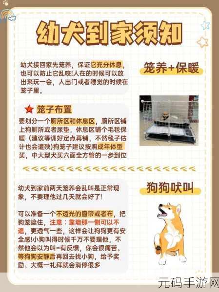 我的休闲时光,轻松领养萌犬秘籍