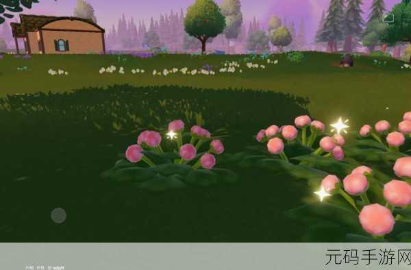 心动小镇手游沙滩乐园第 11 天,寻觅果绿色小鸭子的踪迹
