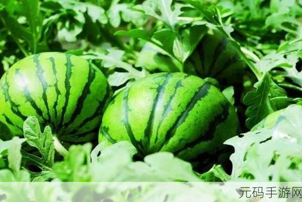 cgbl01.cc吃瓜爆料网:1. 揭秘网络热议事件,吃瓜群众惊呼连连!