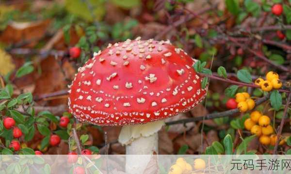 蘑菇视频红色logo黑料:1. "蘑菇视频引发的网络风波:背后真相大揭秘